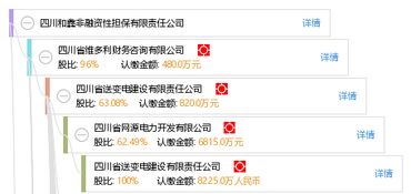 四川和鑫非融資性擔(dān)保有限責(zé)任公司 專注非融資性擔(dān)保業(yè)務(wù)，助力企業(yè)穩(wěn)健發(fā)展